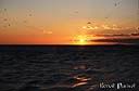 049coucher de soleil.jpg